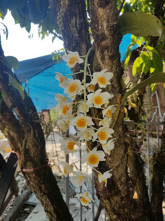 Cat Tien Farmer Lodge Quan Tom المظهر الخارجي الصورة